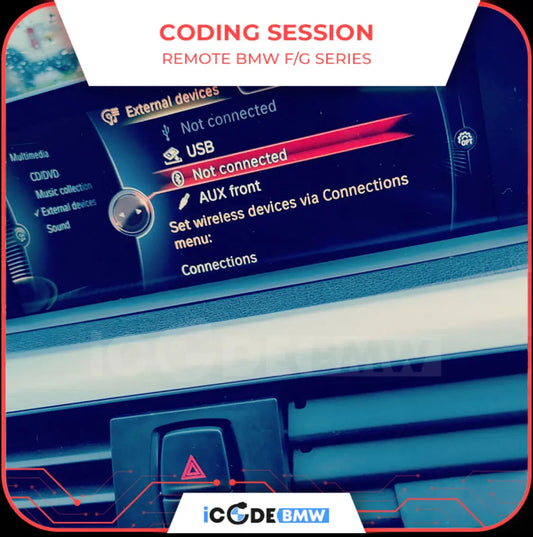 ✅ BMW ESYS REMOTE CODING SESSION AUTO DIAGNOSTIC OBD2 SOFTWARES