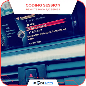 ✅ BMW ESYS REMOTE CODING SESSION
